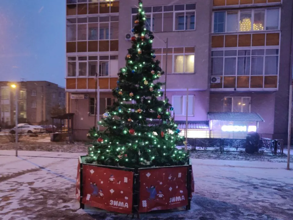 Фото: пресс-служба администрации Балашихи