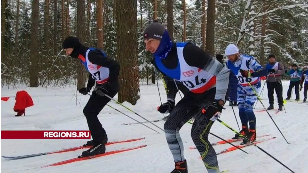 Фото: Светлана Плотникова
