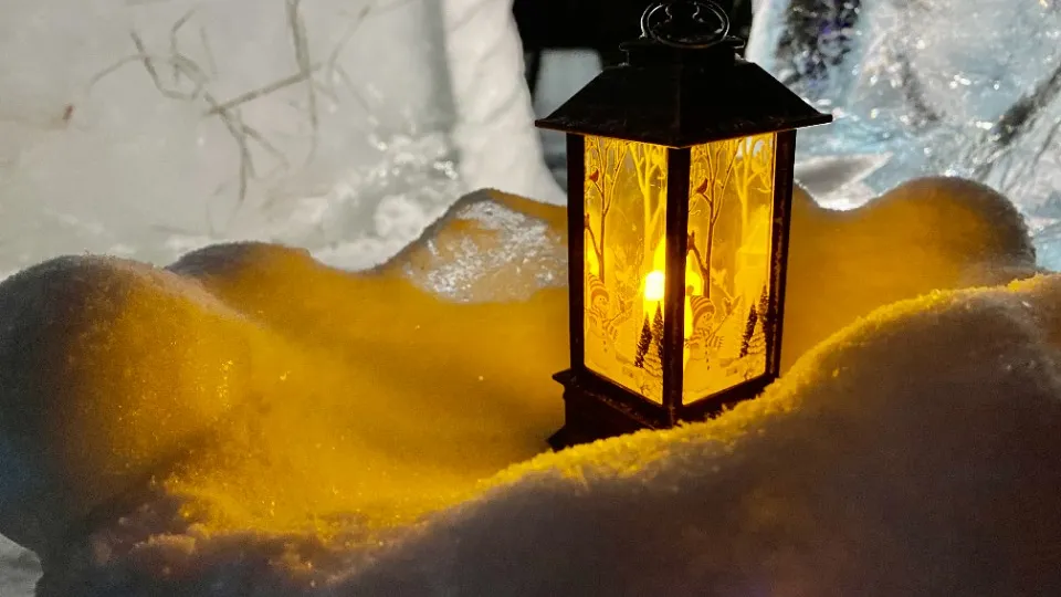 МедиаБанк Подмосковья/Александр Зель