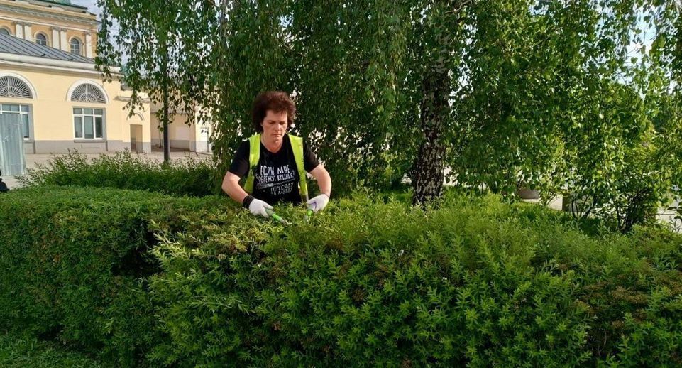 Свыше 4 километров кустарников опилили в Подмосковье с начала года