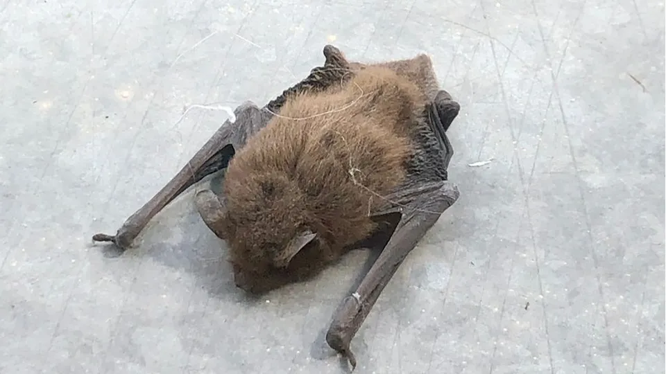 Фото: Олег Шилов