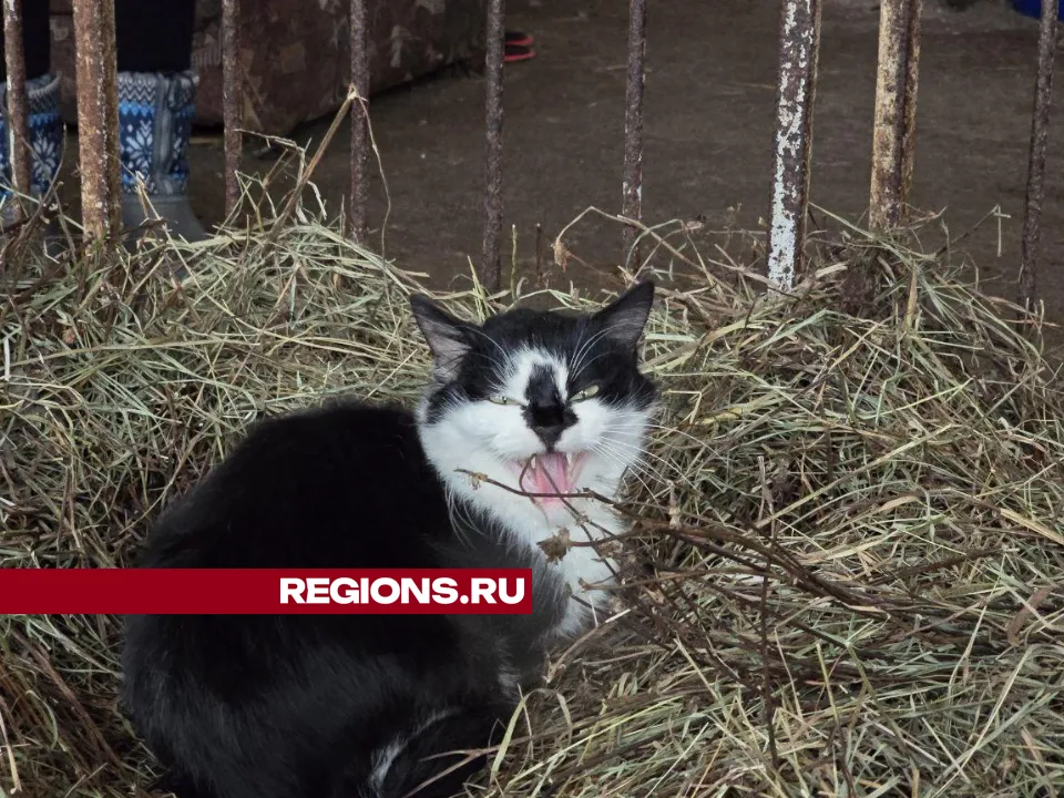 Фото: Яна Шаливская