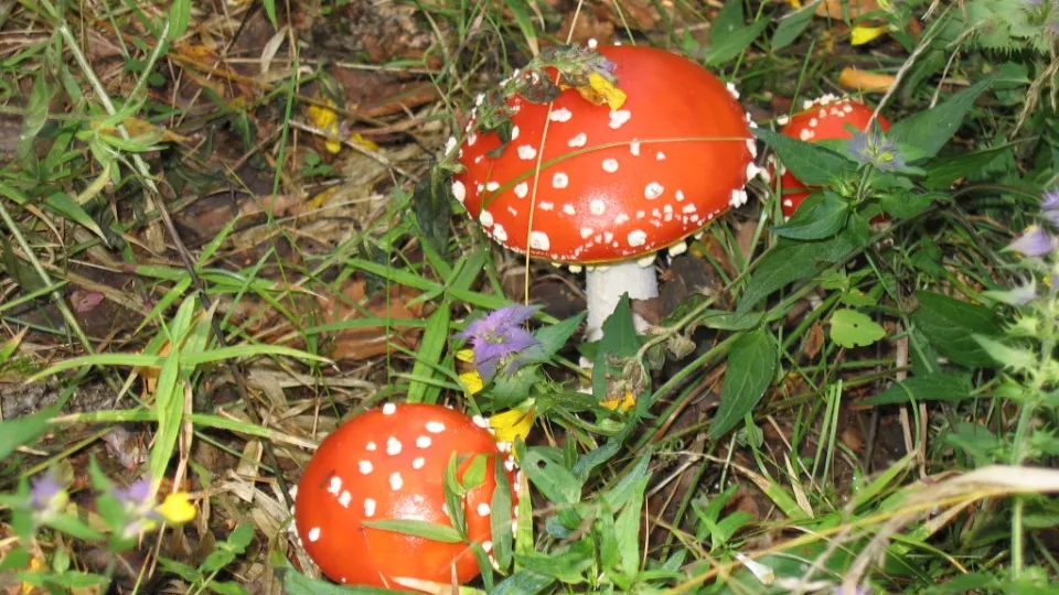 Фото: REGIONS/Максим Зубарев