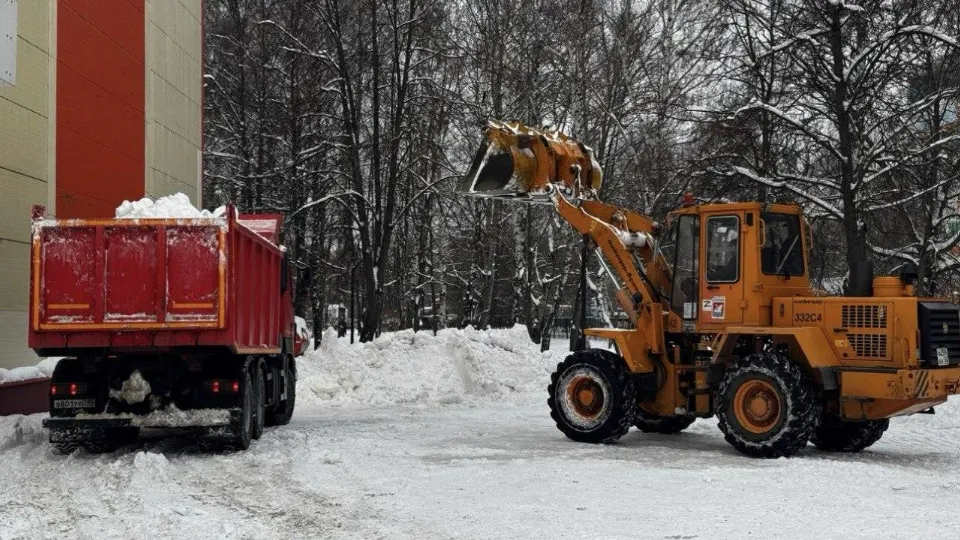 Фото: администрация г. о. Долгопрудный
