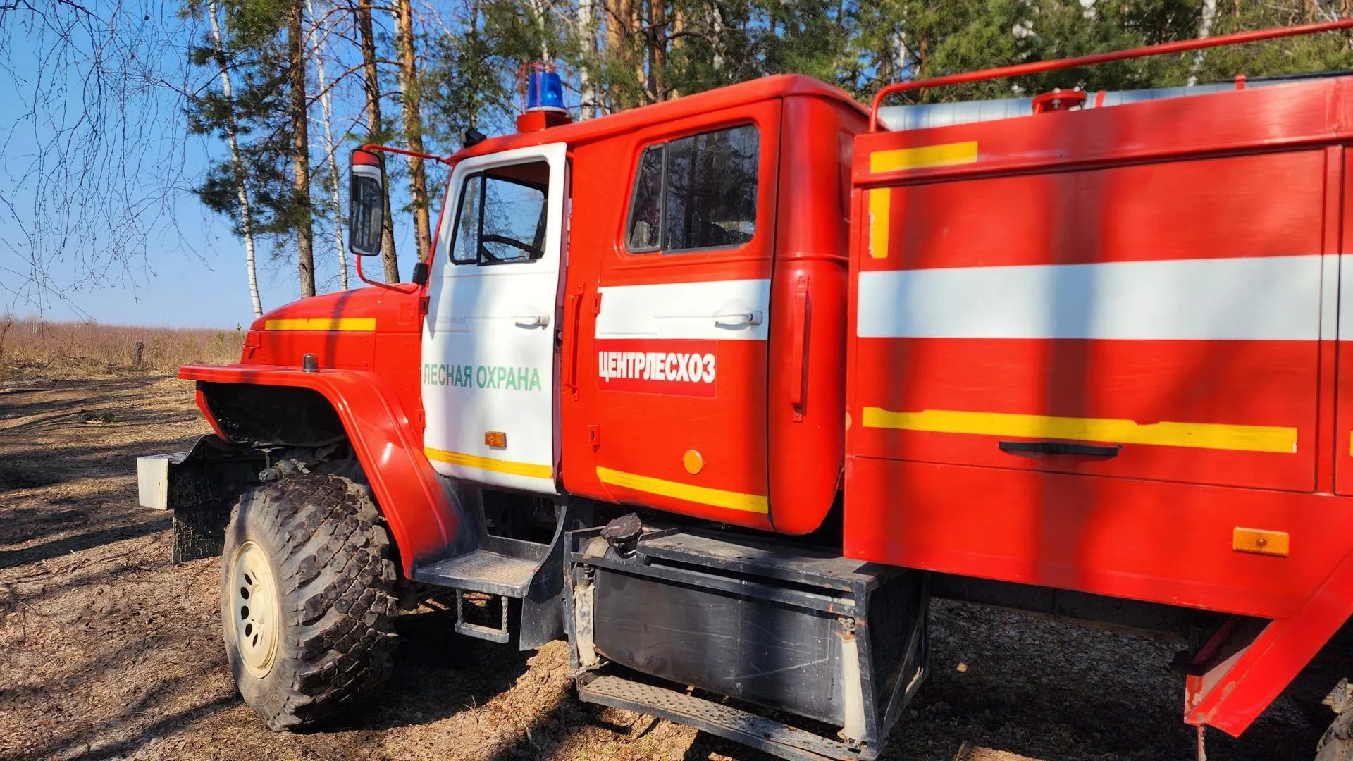 МедиаБанк Подмосковья/Анна Шолохова