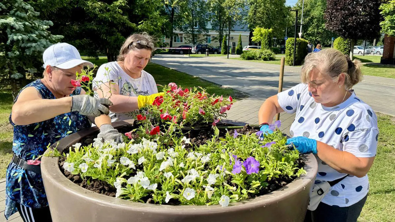Фото: пресс-служба администрации г.о. Ступино