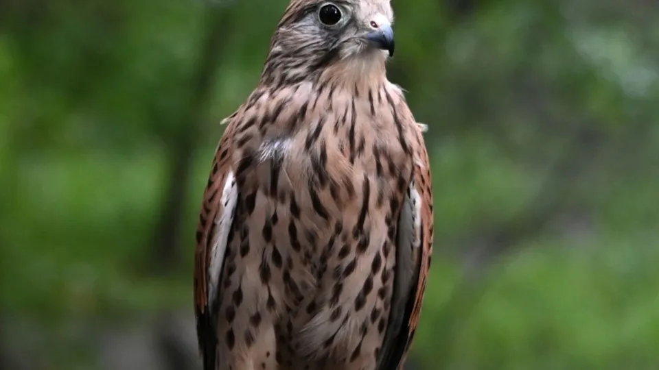 Фото: РИА Новости/Владимир Федоренко