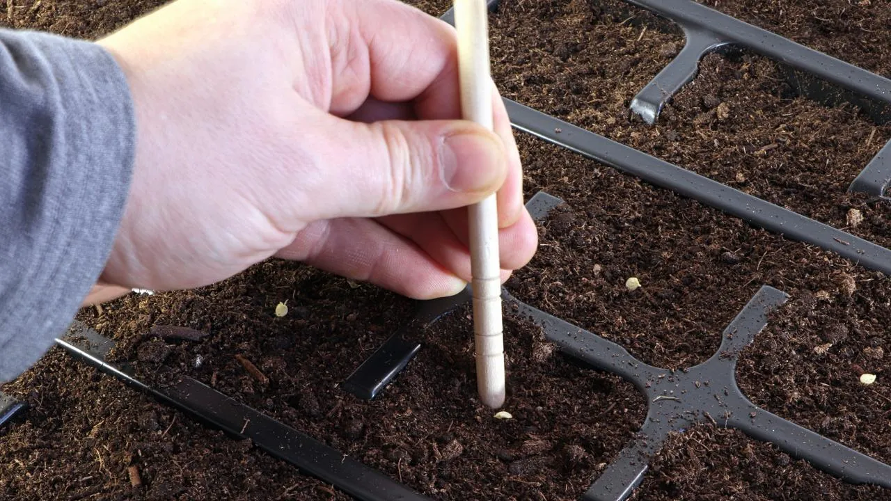 istockphoto.com/Mikhail Kolomiets