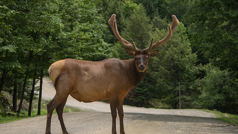 Фото: unsplash.com