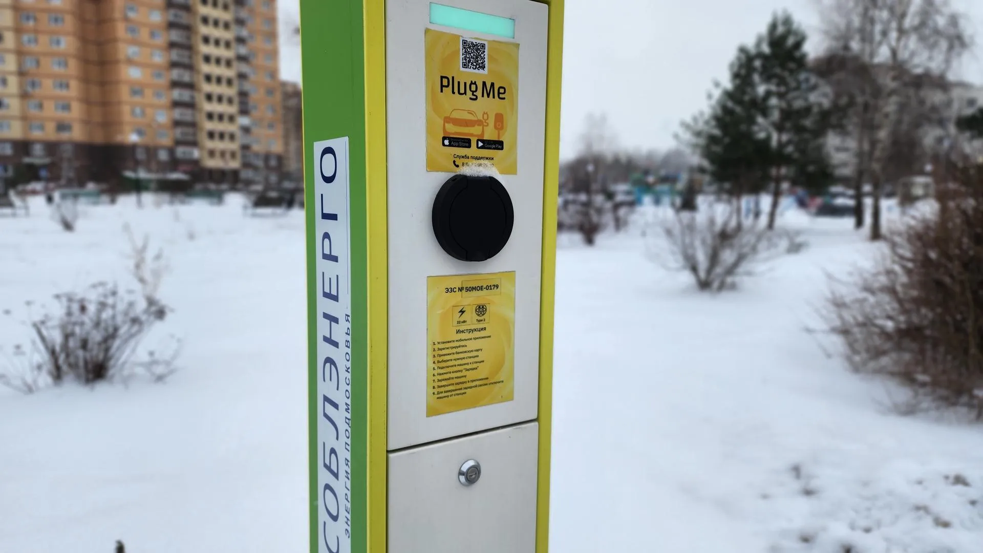 Фото: Валерия Тингаева