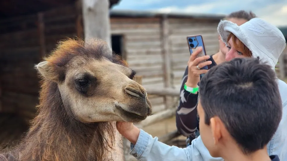 Фото: Елена Шумакова