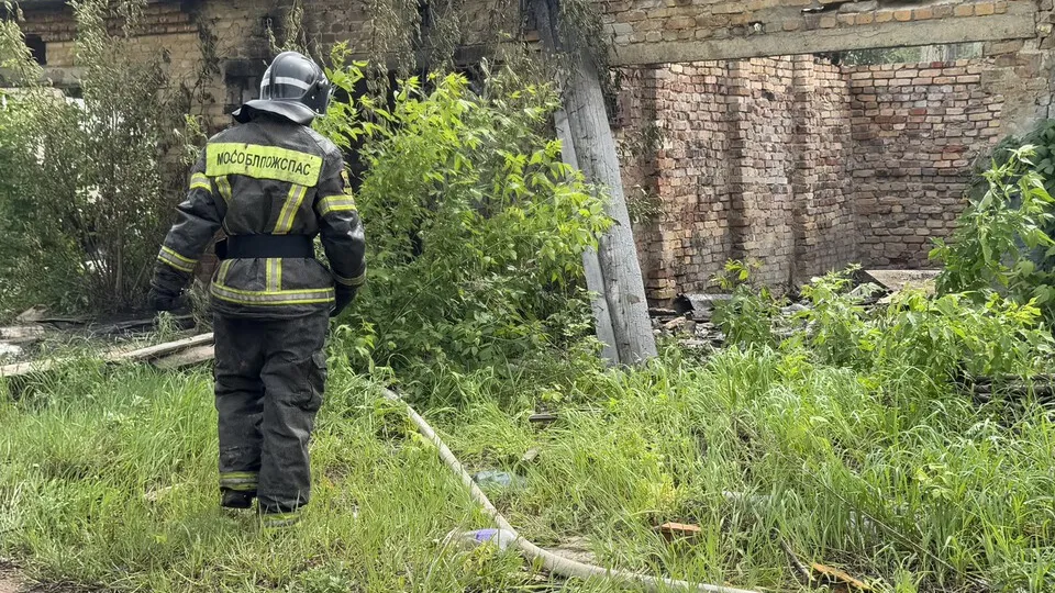 Фото: Виктория Фортуна