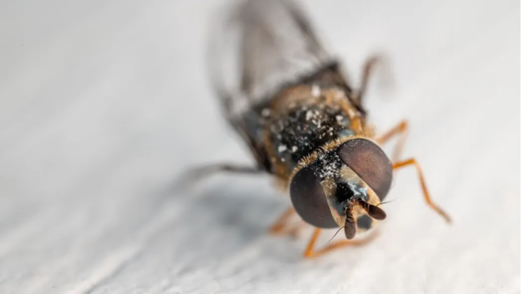 Источник: ru.freepik.com