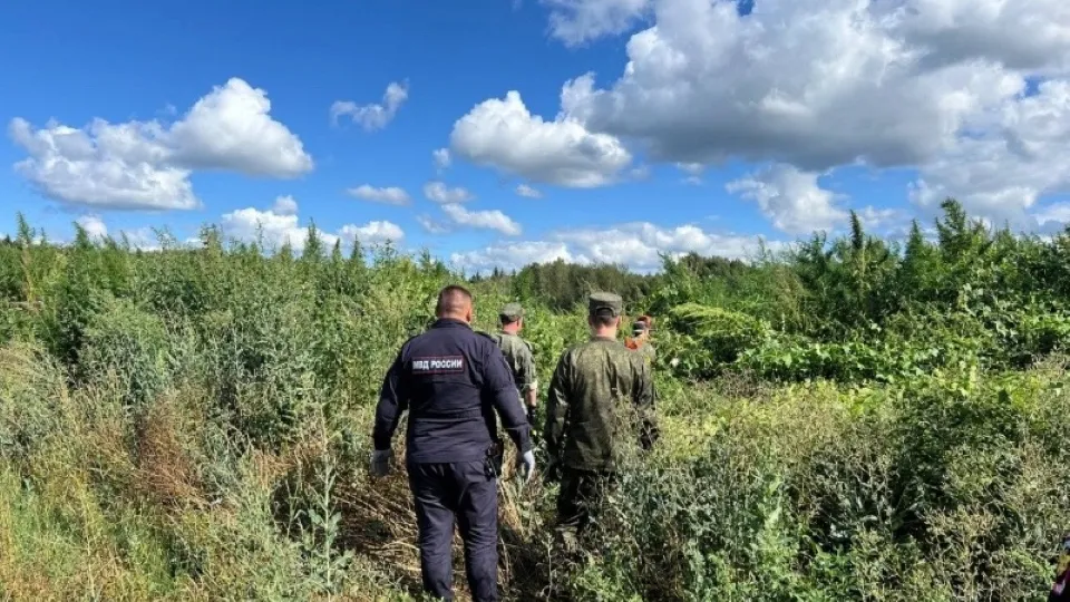 Фото: ОМВД России по г.о. Чехов