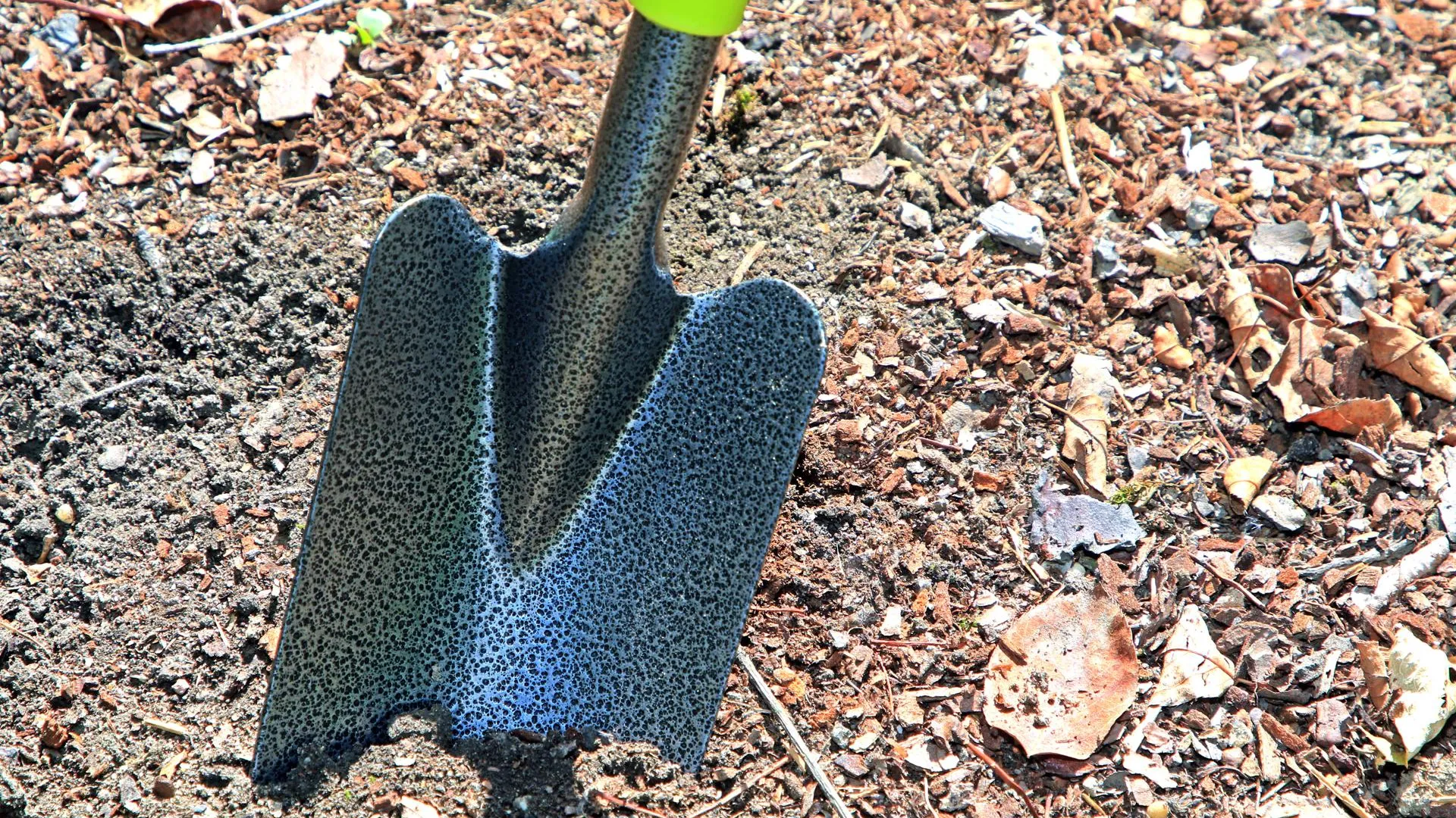 IMAGO/Gottfried Czepluch/www.imago-images.de