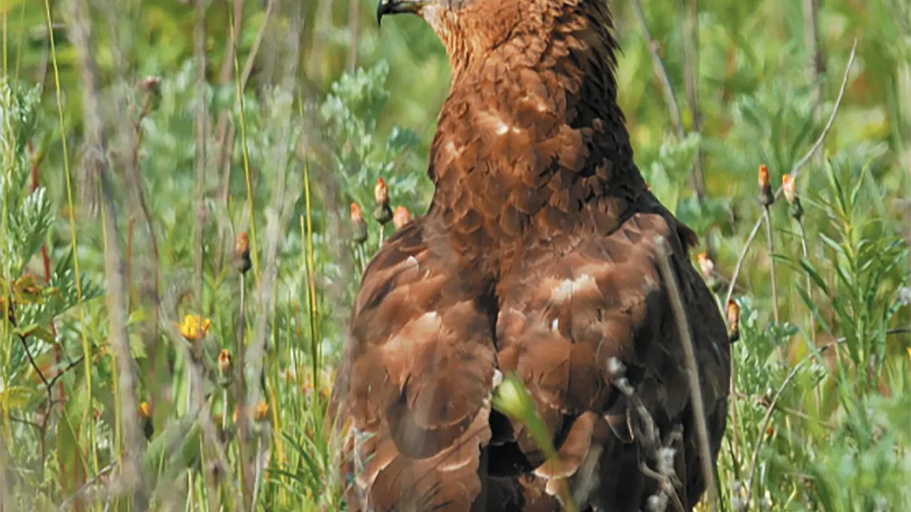 Фото: Фонд «Верховье»