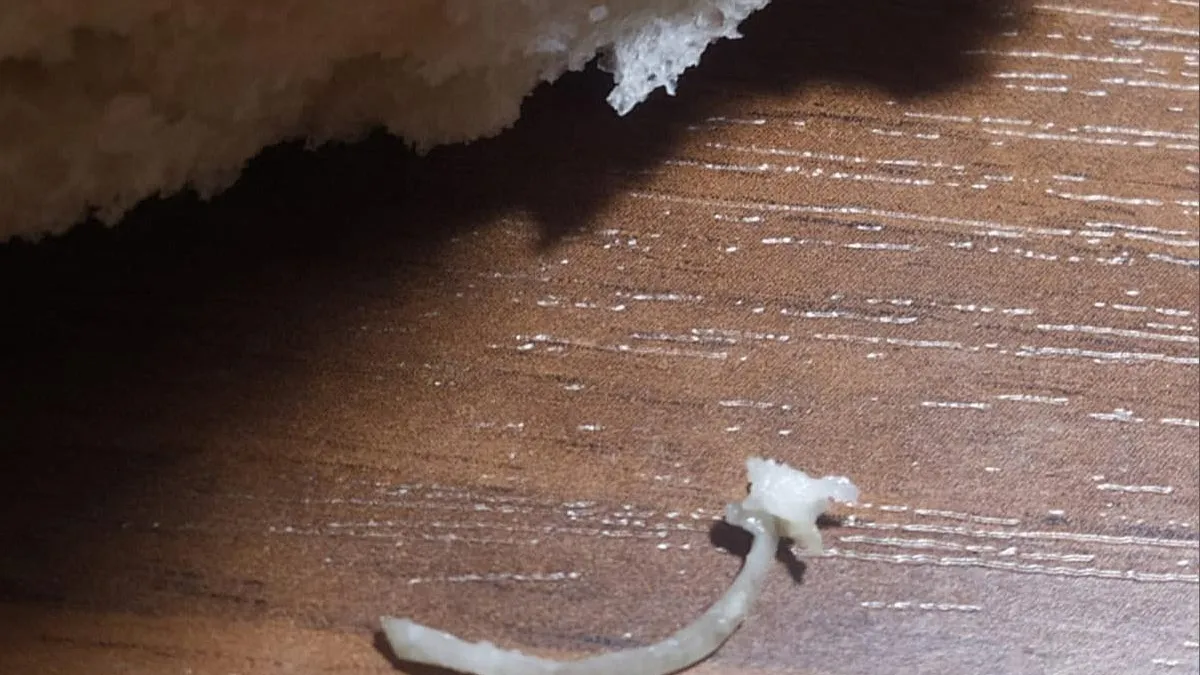 Фото соцсети.