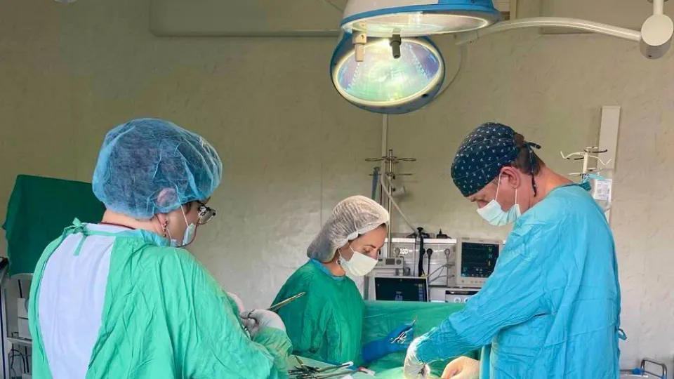 Фото: пресс-служба администрации Ленинского г.о.