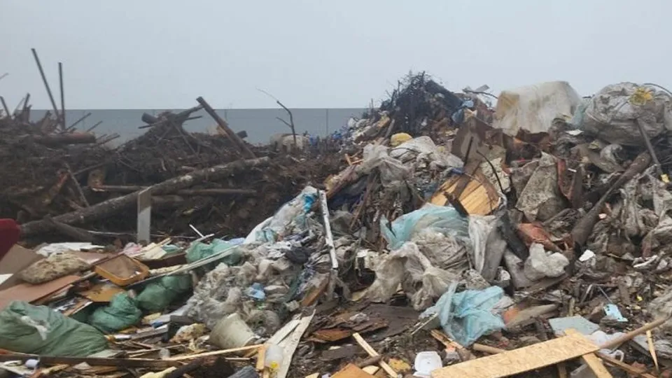 Фото: Министерство экологии и природопользования Московской области