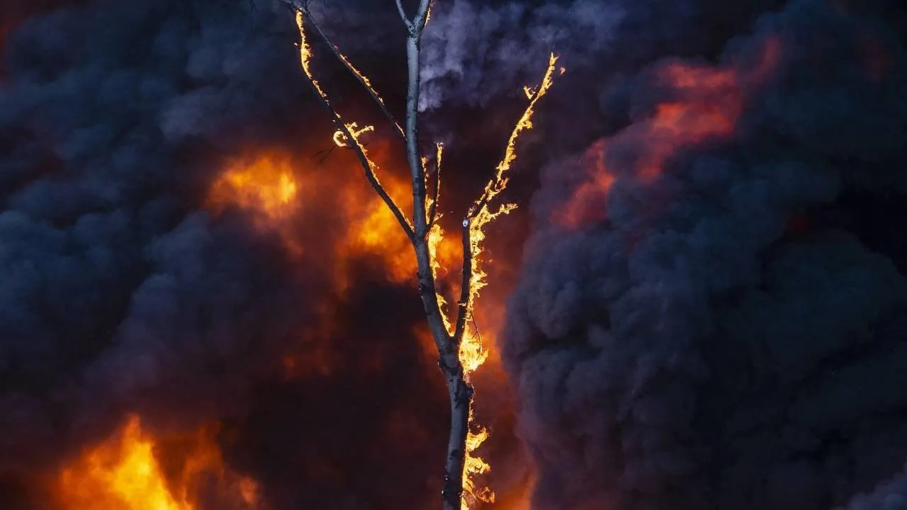 ГКУ МО "Мособлпожспас"