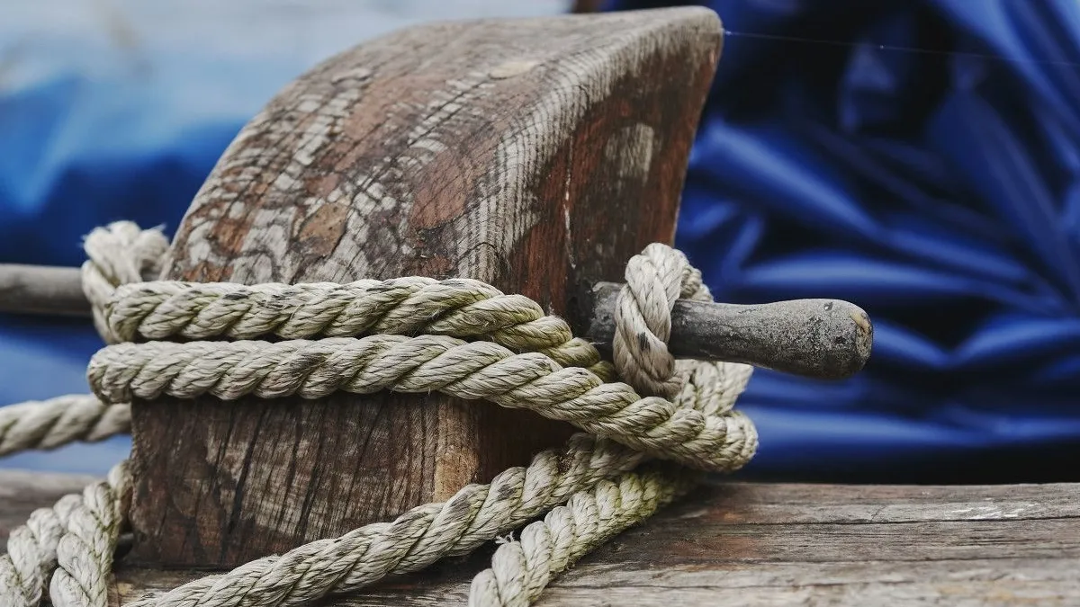 Фото: freepik.com