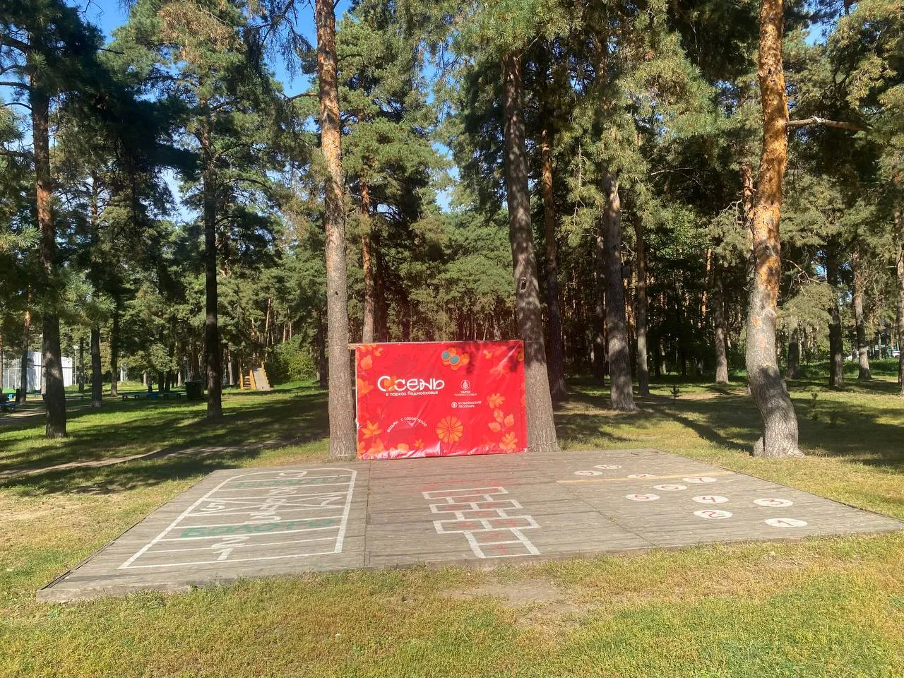 Фото: t.me/kuz_les