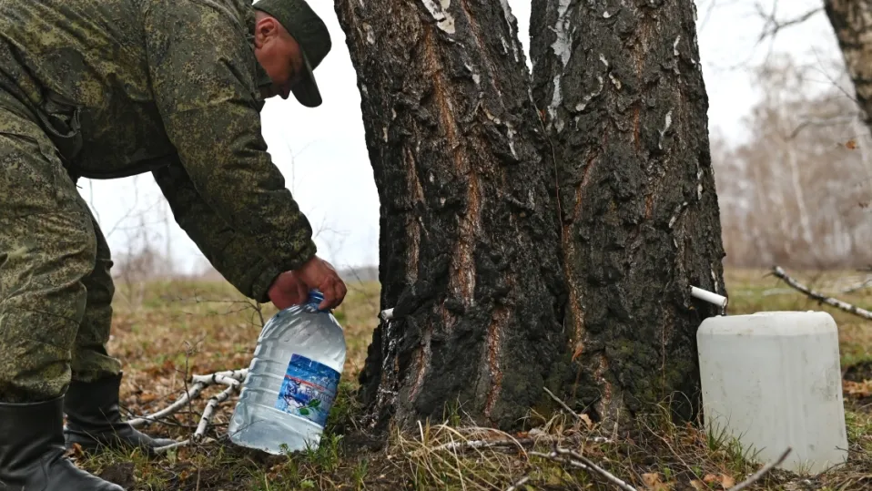 Фото: РИА Новости/Алексей Мальгавко