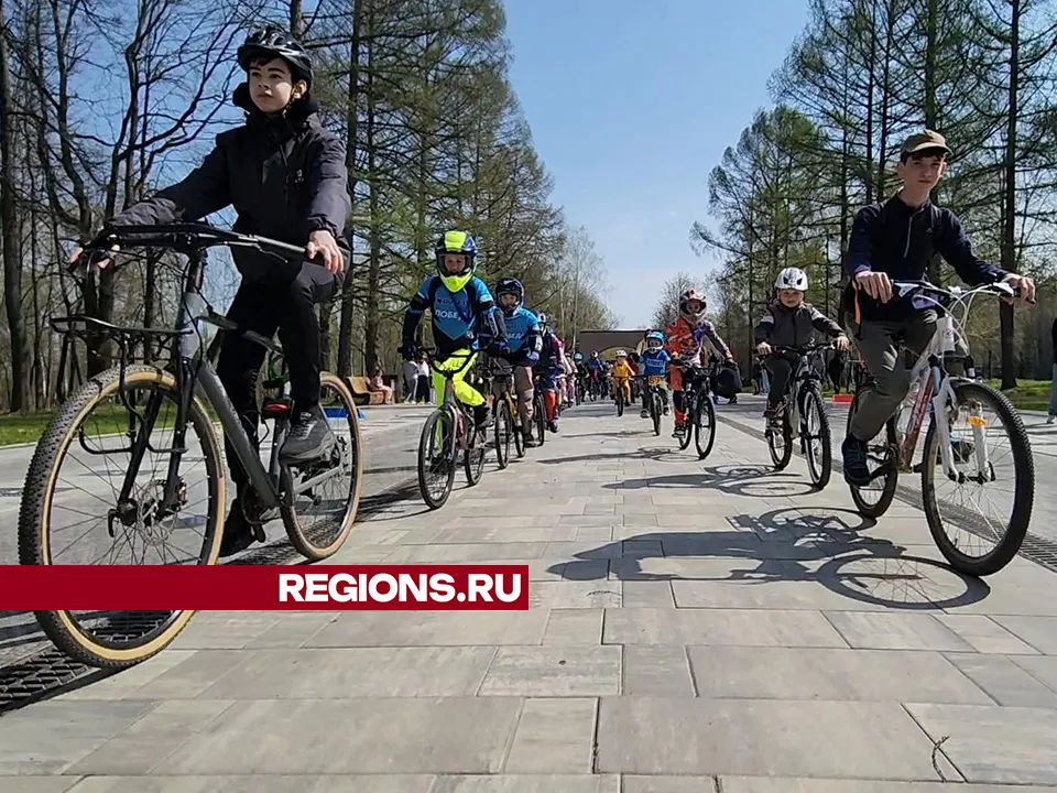 Фото: Андрей Семибратов<br>