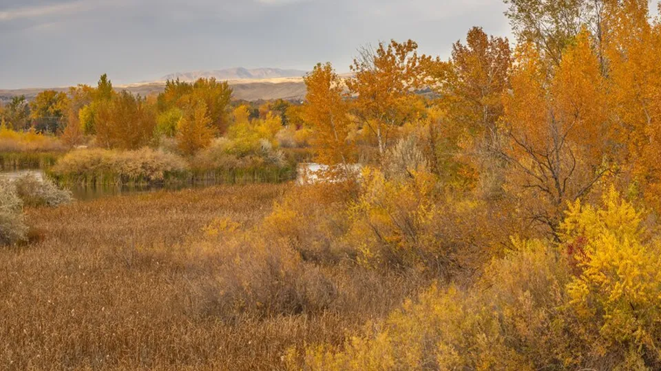 Фото: freepik.com