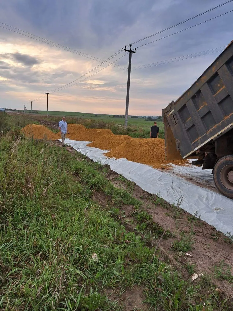 Фото: Алексей Моргунов