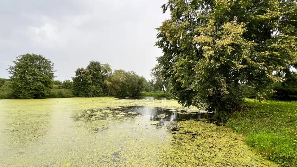 Фото: REGIONS/Елена Фурман