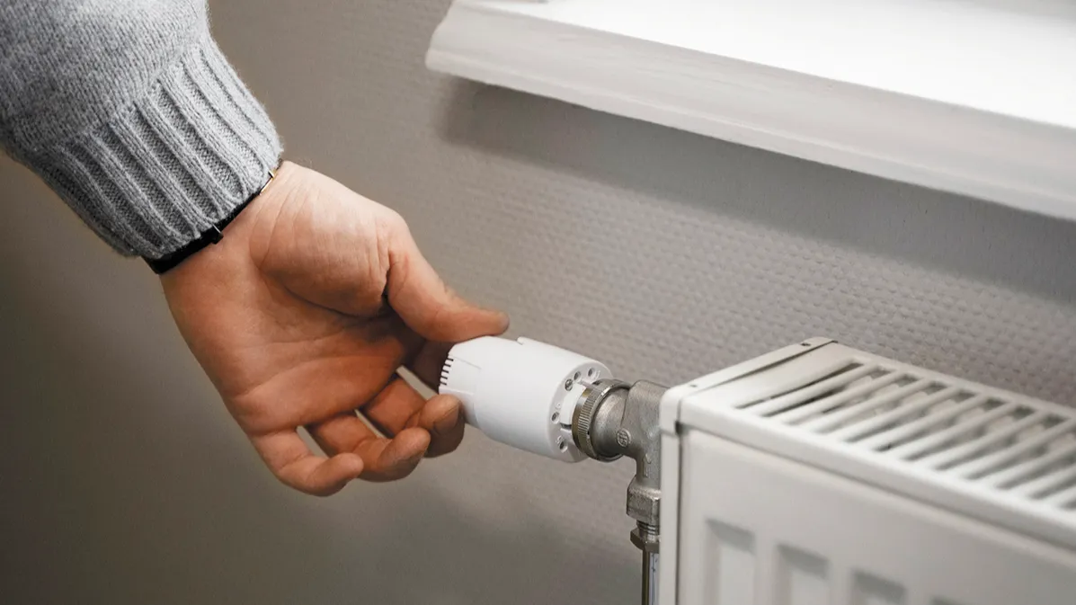 Фото: ru.freepik.com