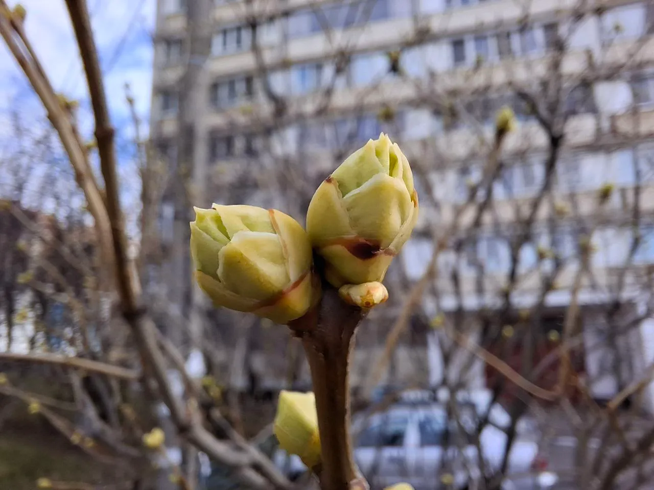Фото: Александра Загороднова