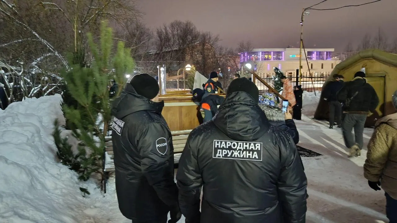 Фото: народная дружина Богородского округа