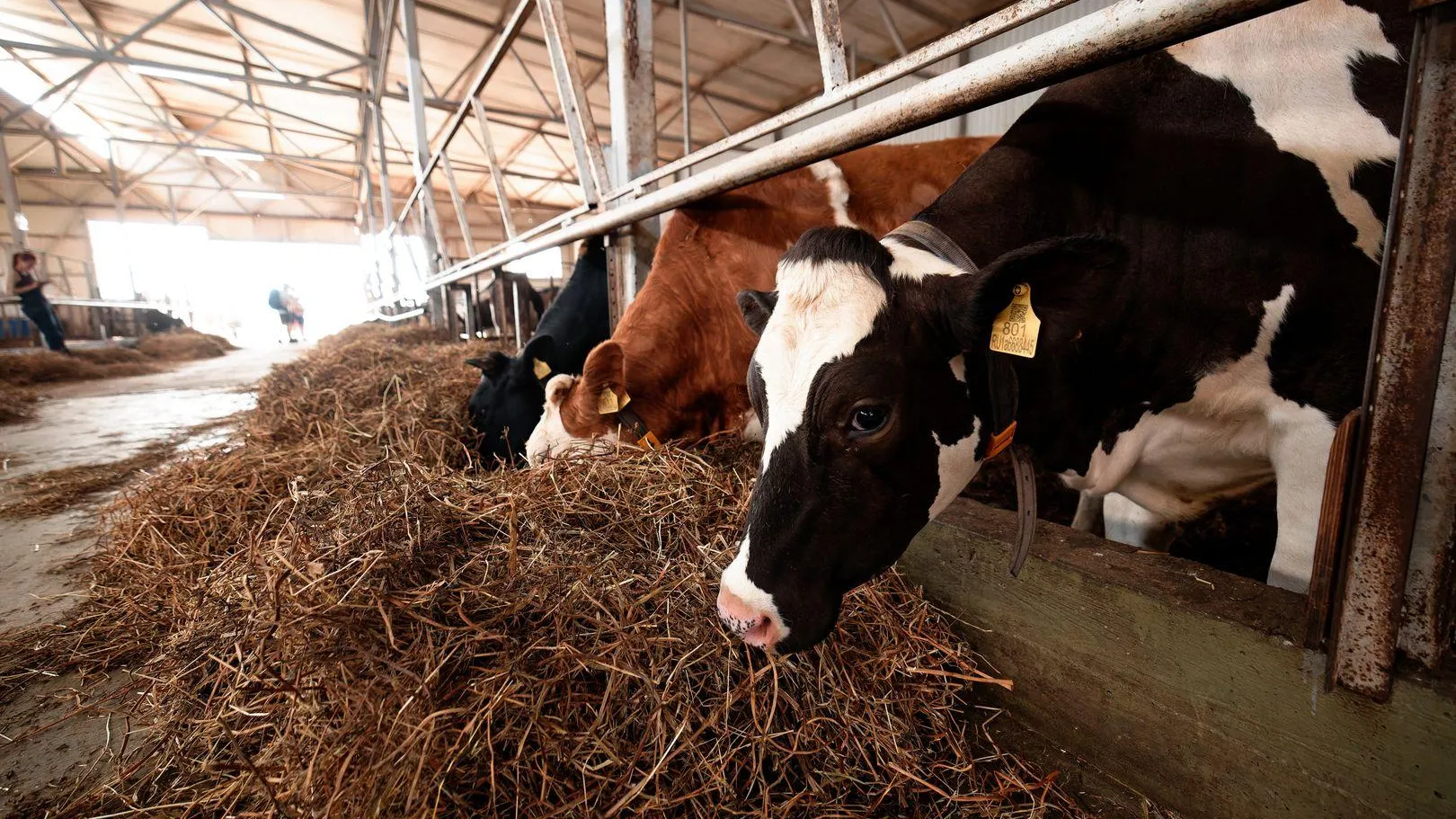 медиасток.рф