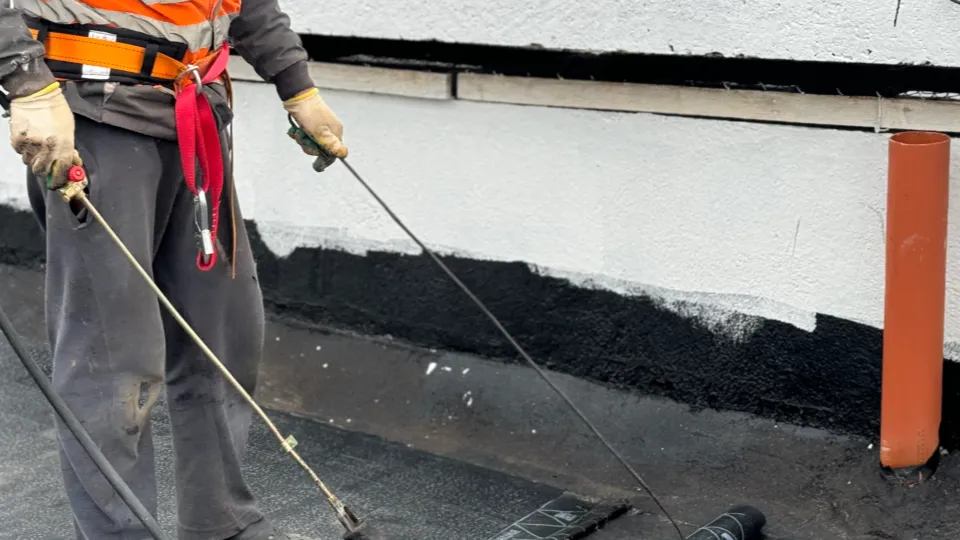 Фото: МедиаБанк Подмосковья/Полина Абраменко