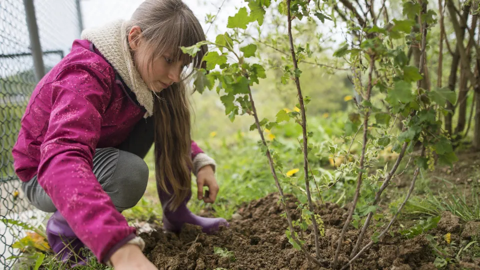Фото: istockphoto.com/Imgorthand