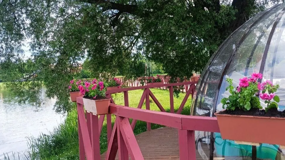 Фото: t.me/brolug