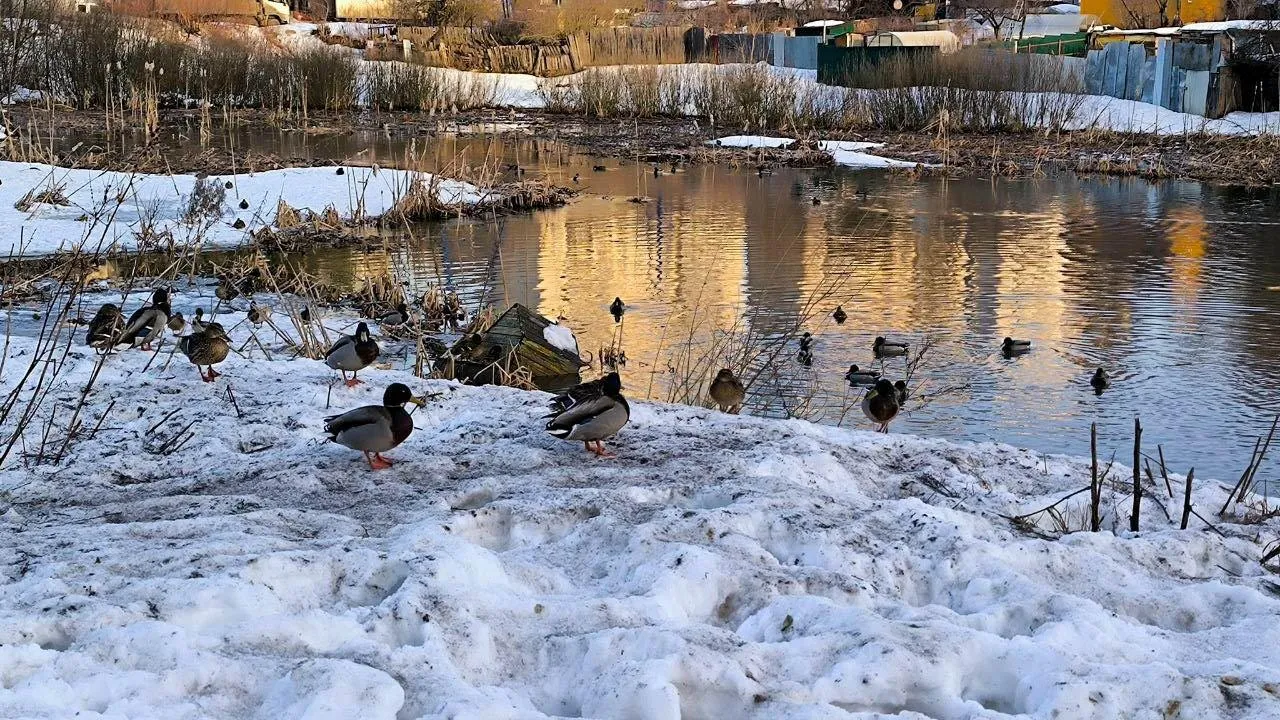 REGIONS/Роман Малышенко