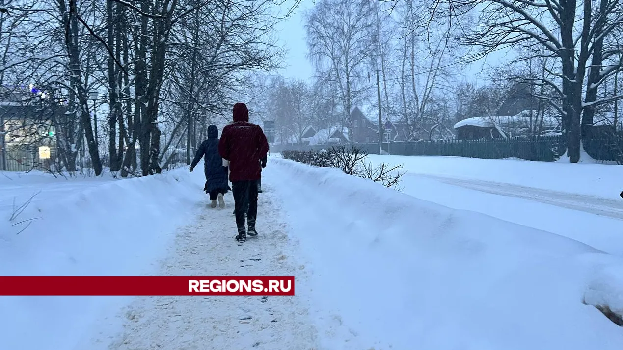 Фото Елены Фурман