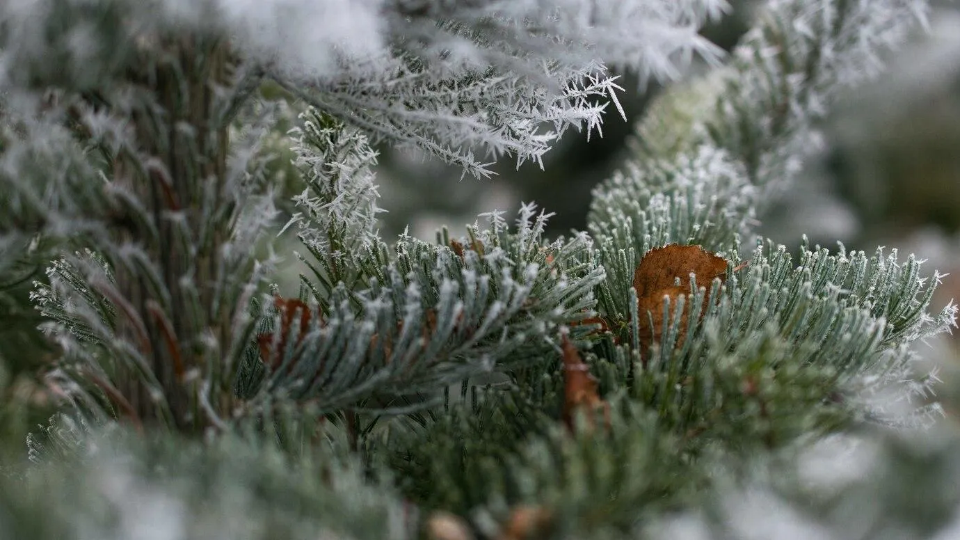 Фото взято с ru.freepik.com