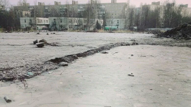 Маргарита Кормилицына