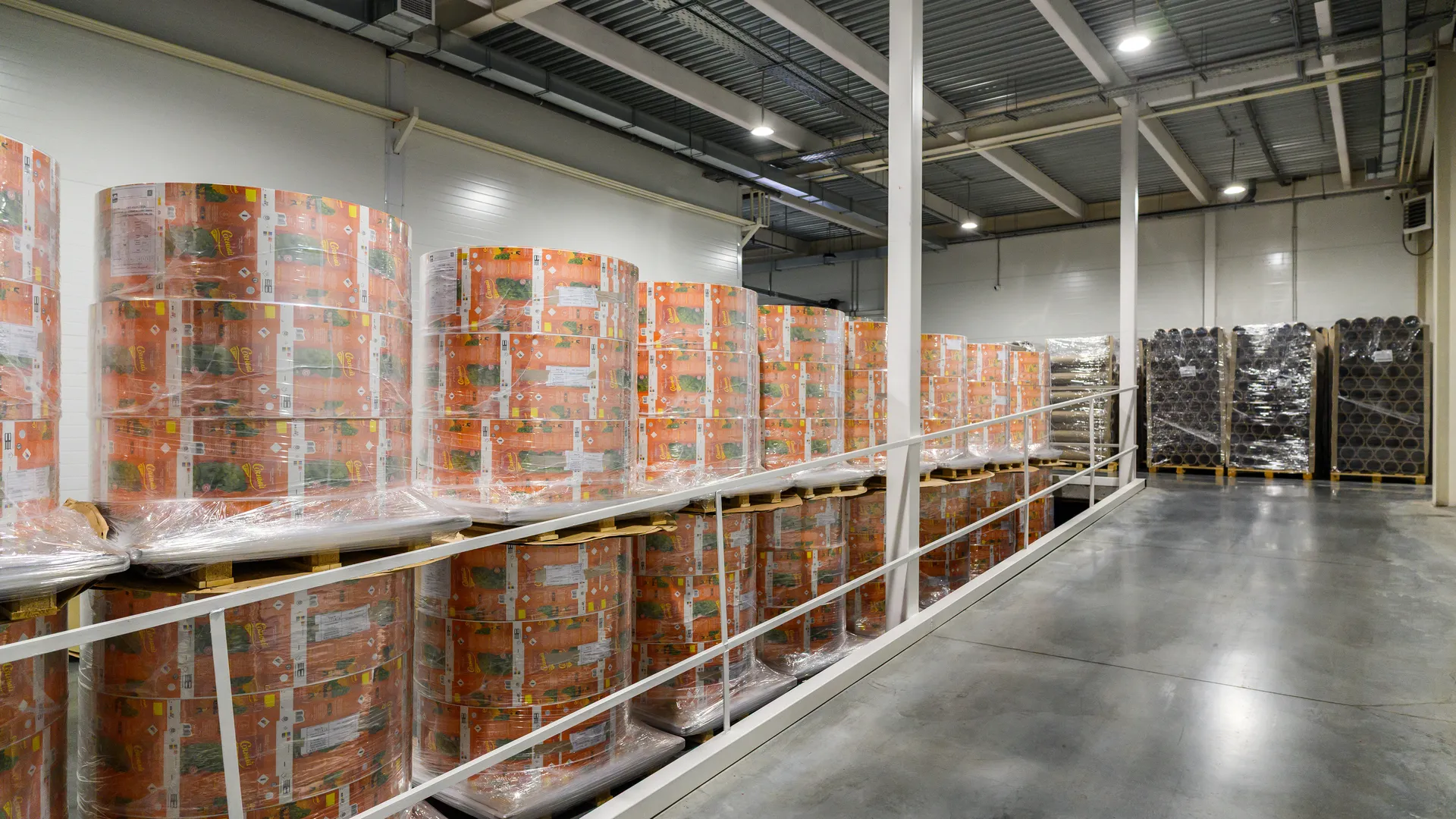 Завод по производству упаковки для пищевых продуктов «МолоПак» в Чехове