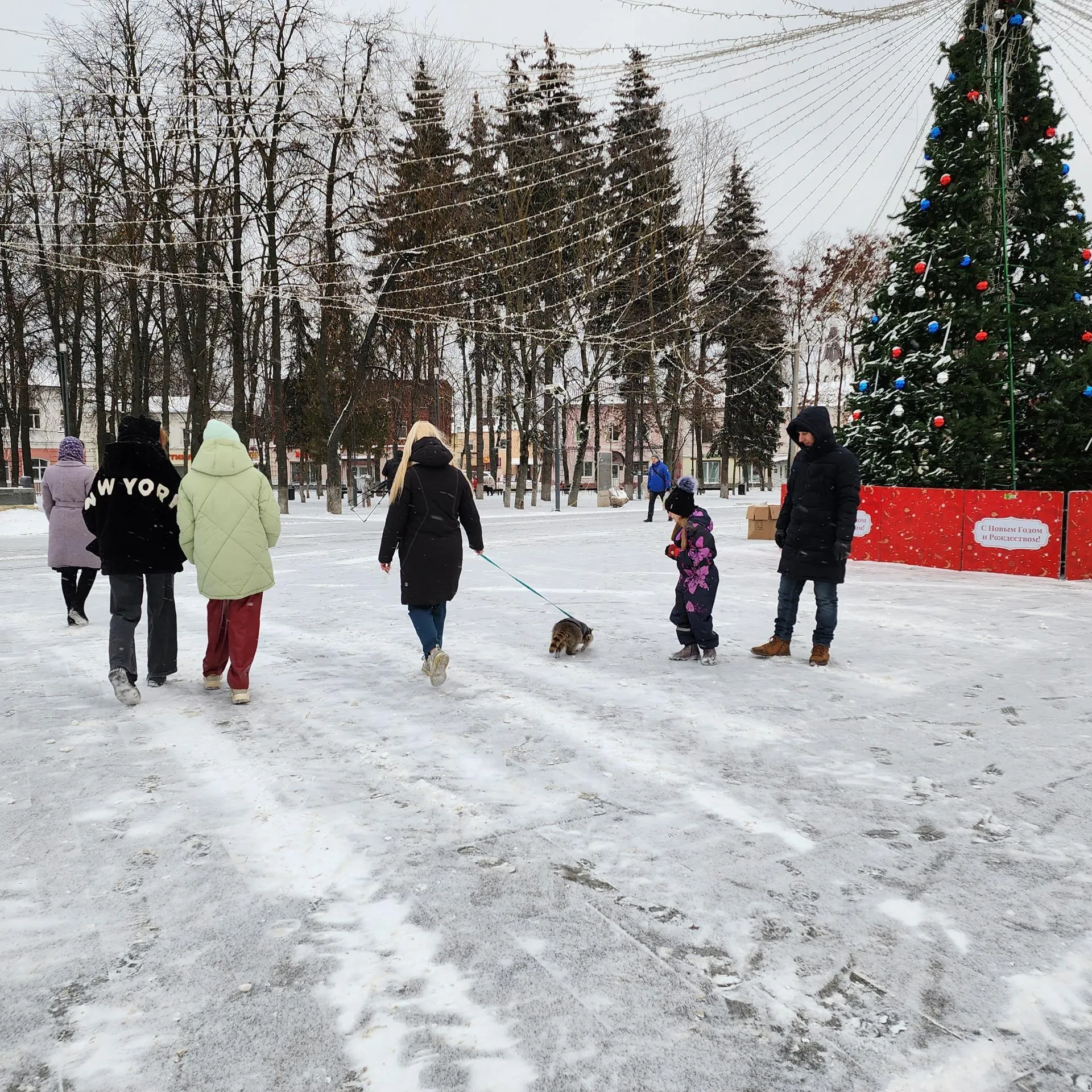 Фото: Юлия Андросова