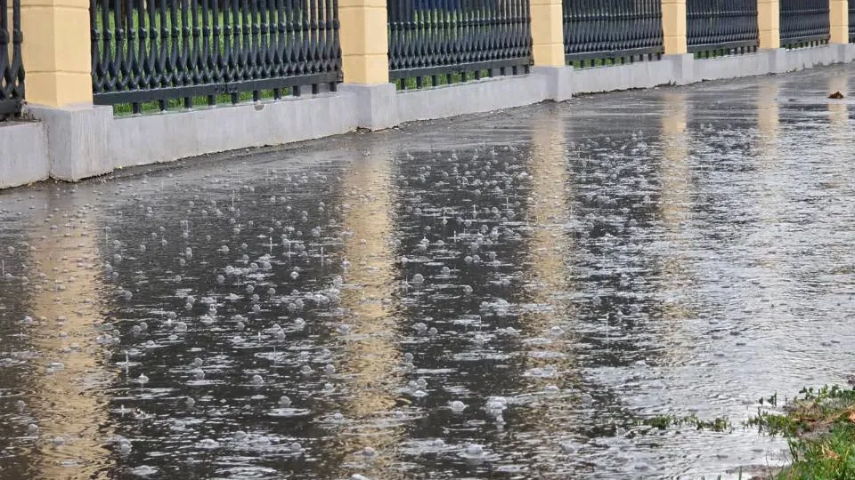 Фото: МедиаБанк Подмосковья/Марина Анисимова