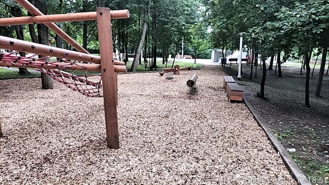 Фото: пресс-служба администрации городского округа Истра