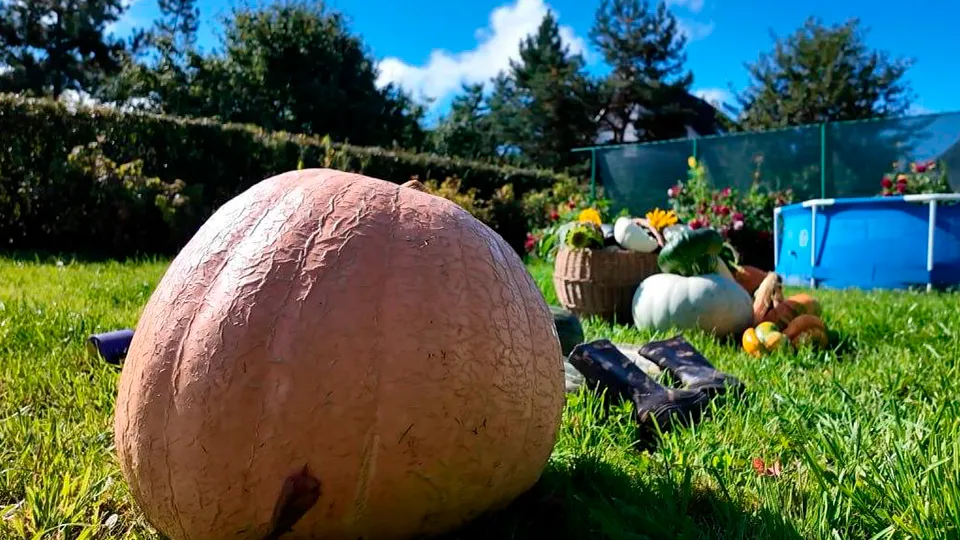 Фото: пресс-служба администрации г.о. Клин