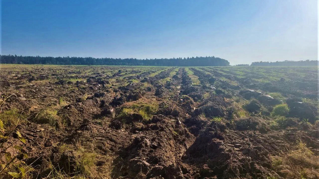 Фото: Комитет лесного хозяйства Московской области