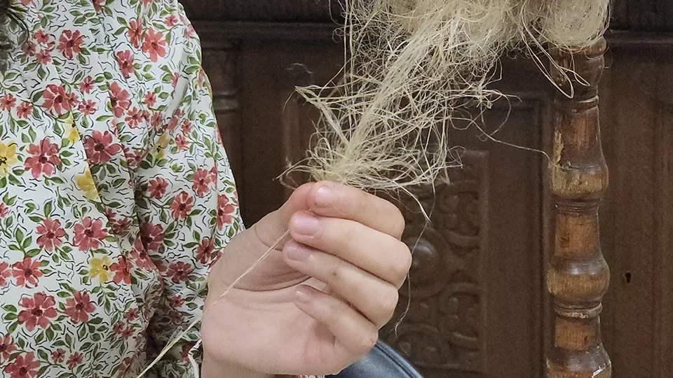 Фото: Медиабанк Подмосковья/Андрей Семибратов