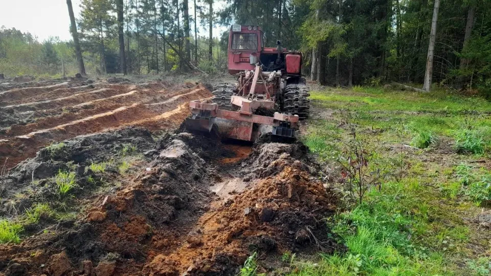 Фото: Комитет лесного хозяйства Московской области